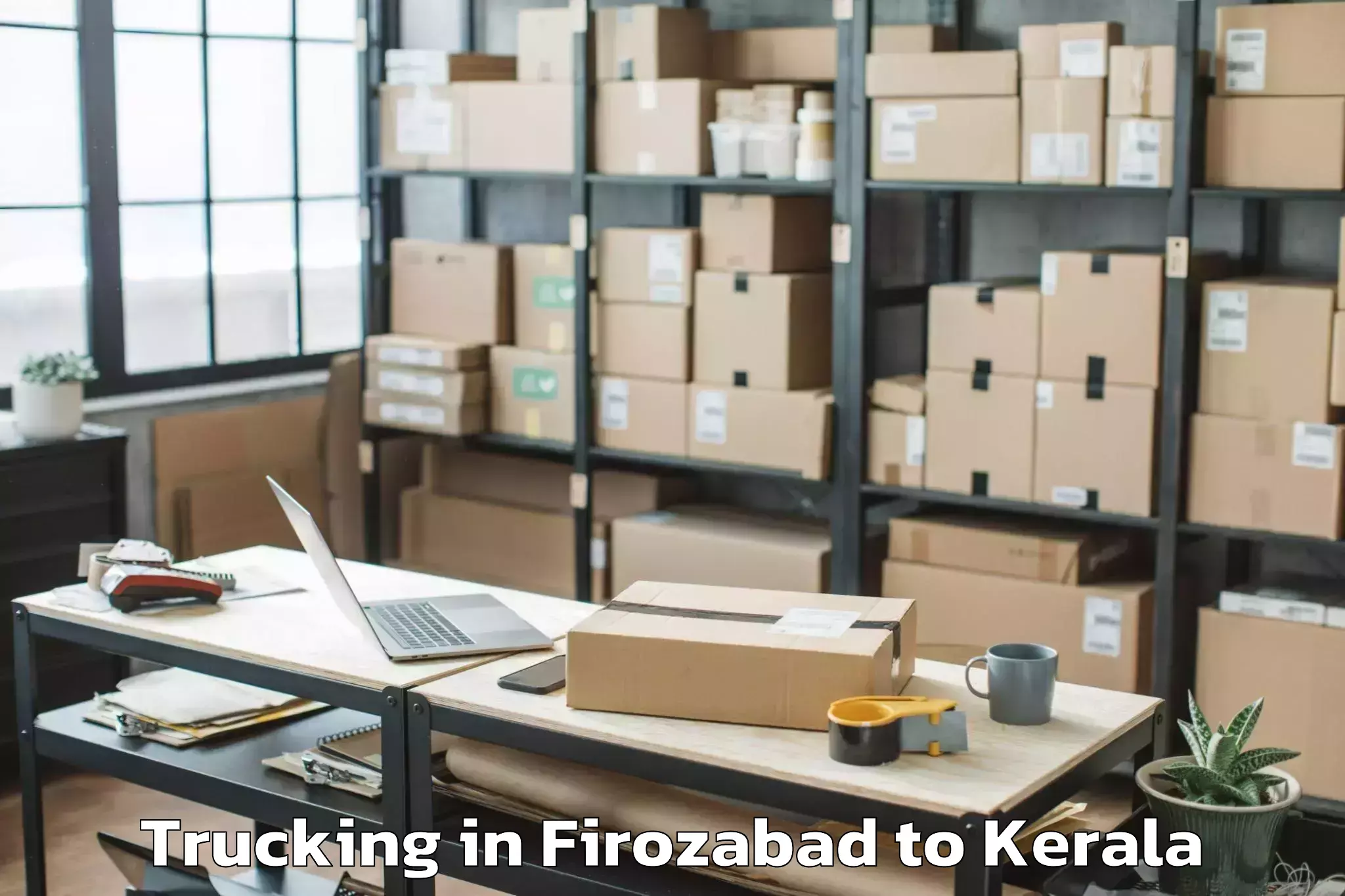 Professional Firozabad to Ambalapuzha Trucking